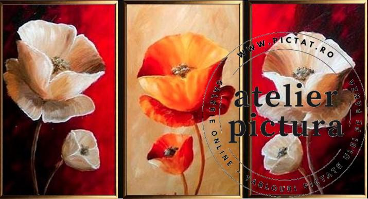 Set 3 tablouri abstracte flori de maci